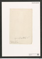 Navicula transfuga Grun. (de-Toni-Nr.: Genus 1, Species 371) Zeichnungen Sammlung Grunow (NHMW-BOT-W0367270)